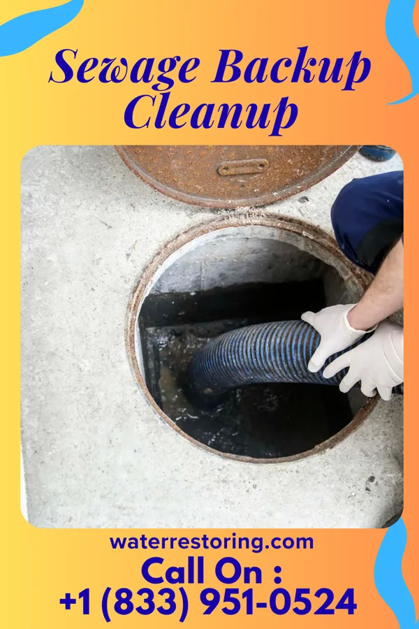 Sewage Backup Cleanup in Primera, TX